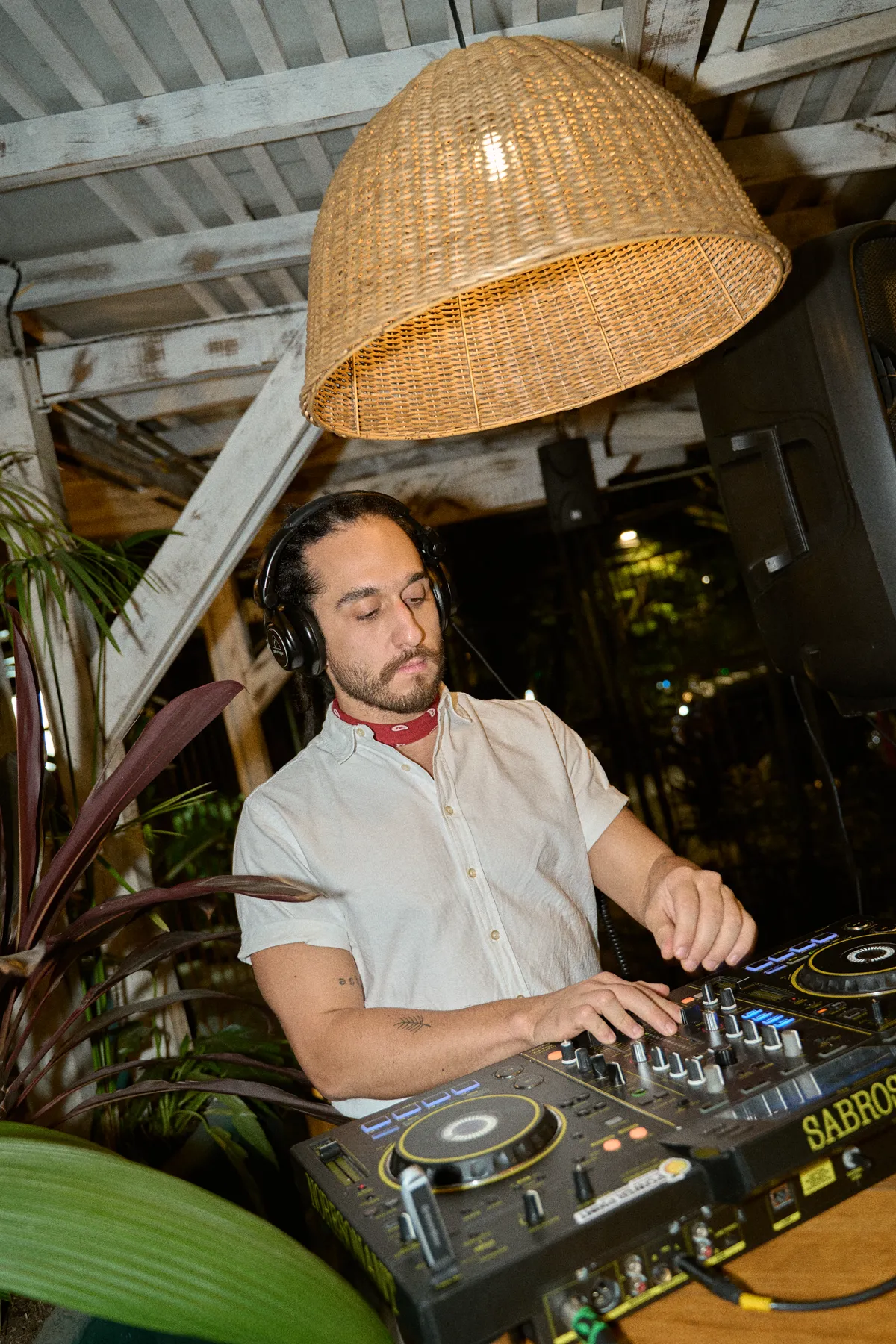 DJ en Vivo
